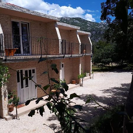 Apartament Amanda C Starigrad Paklenica Zewnętrze zdjęcie