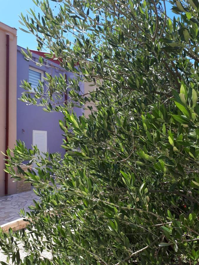 Apartament Amanda C Starigrad Paklenica Zewnętrze zdjęcie